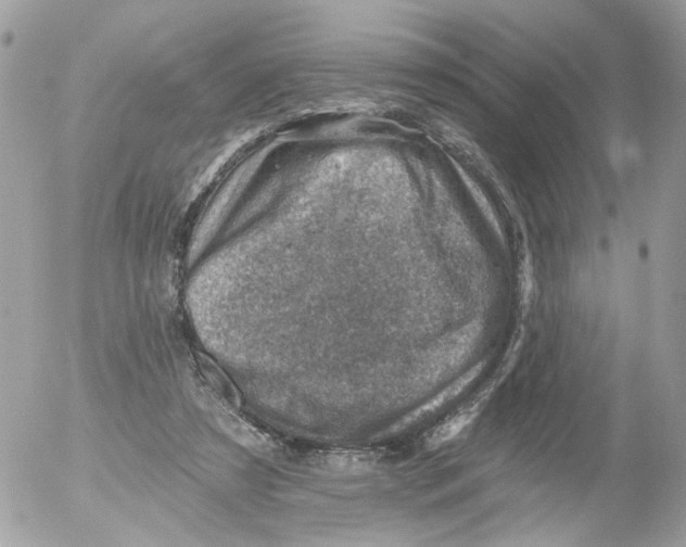 X0000052570305200507292013