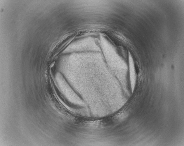 X0000052570306200507292013