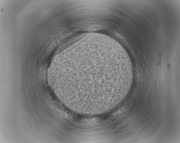 X0000052570307200507292013