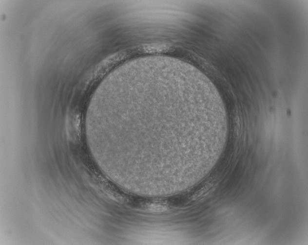 X0000052570308200507292013