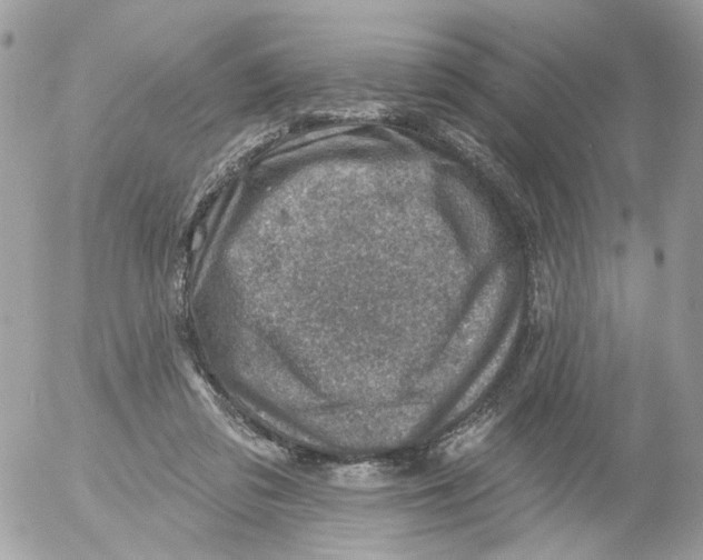 X0000052570309200507292013