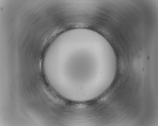 X0000052570310200507292013