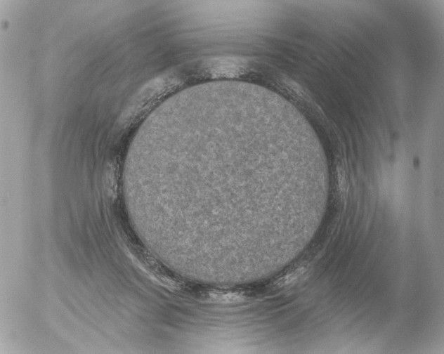 X0000052570311200507292013