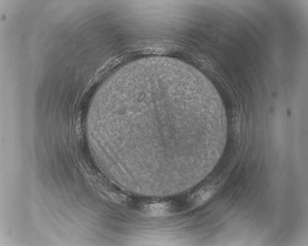 X0000052570312200507292013