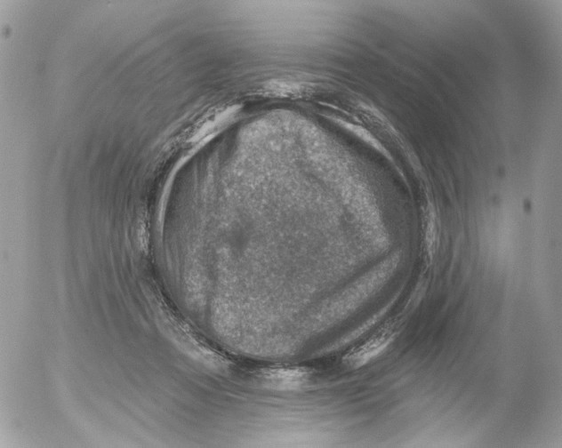 X0000052570313200507292013