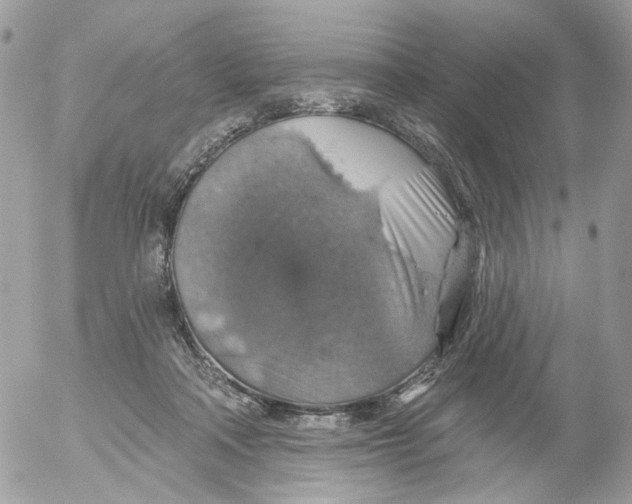 X0000052570314200507292013