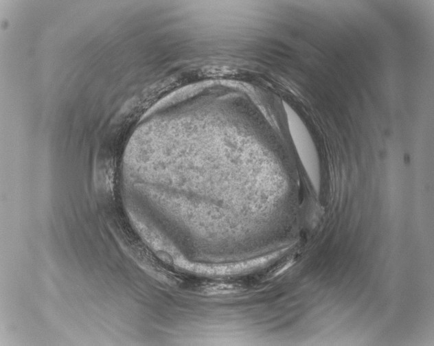 X0000052570315200507292013