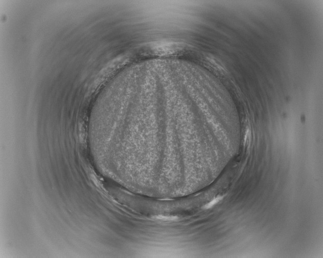 X0000052570317200507292013