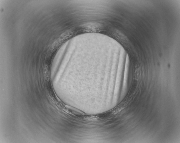 X0000052570318200507292013