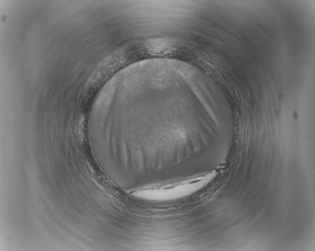 X0000052570319200507292013