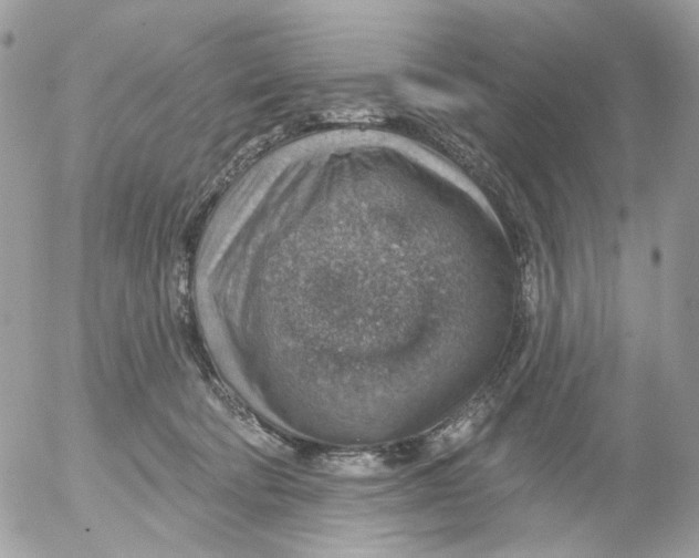 X0000052570322200507292013