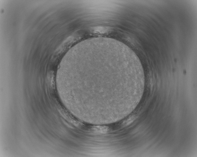 X0000052570328200507292013