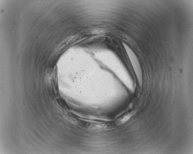 X0000052570329200507292013