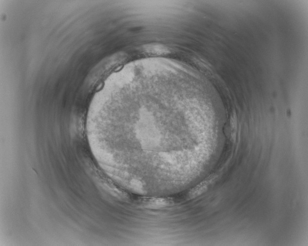 X0000052570330200507292013