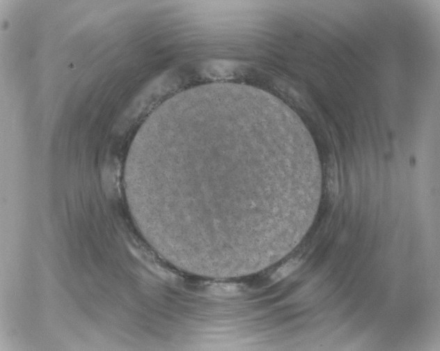 X0000052570332200507292013