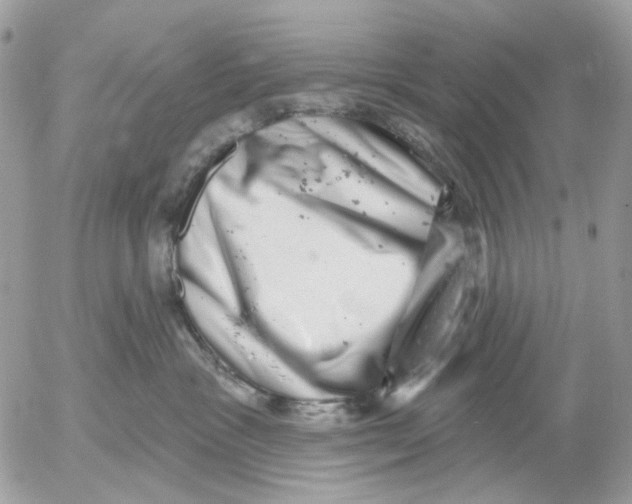 X0000052570333200507292013