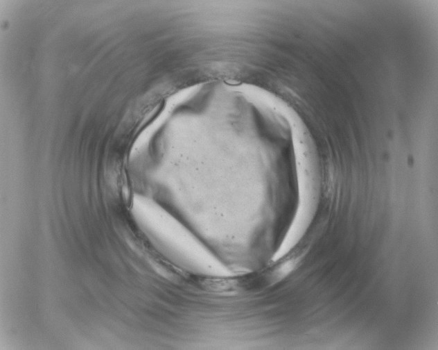 X0000052570334200507292013