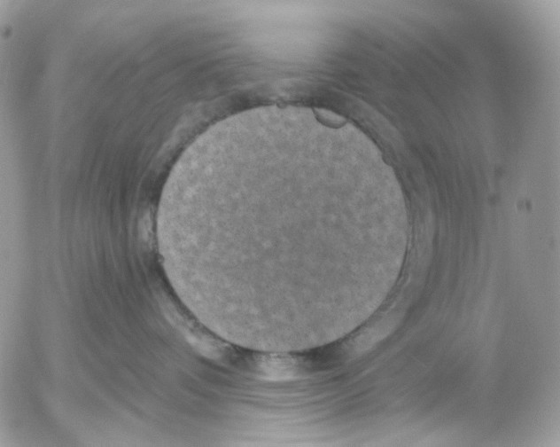 X0000052570336200507292013