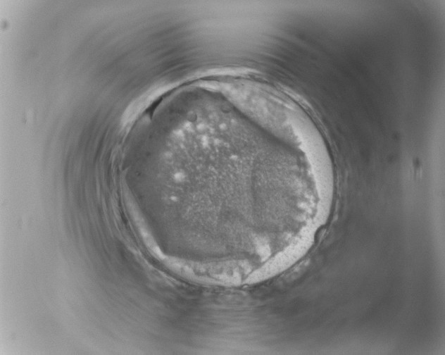 X0000052570337200507292012