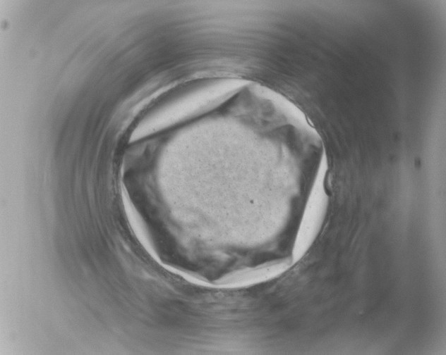 X0000052570338200507292012