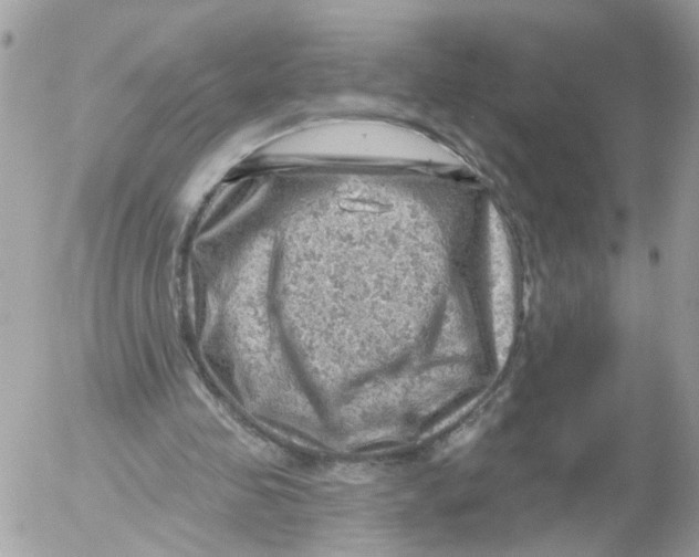 X0000052570341200507292012