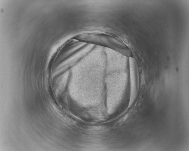 X0000052570342200507292012