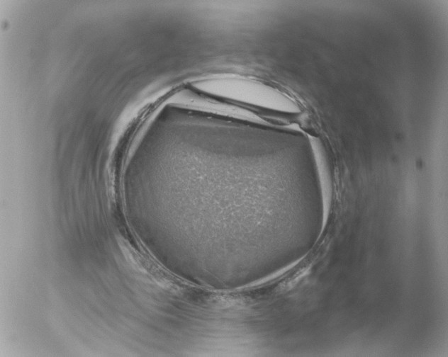 X0000052570343200507292012