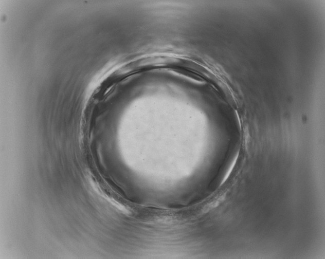 X0000052570344200507292012