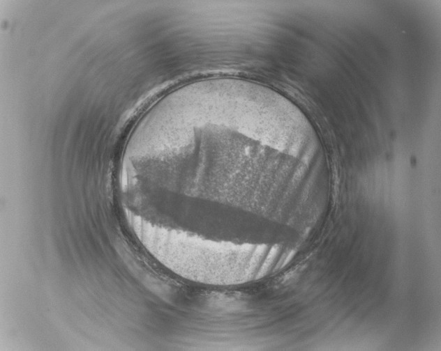 X0000052570346200507292012