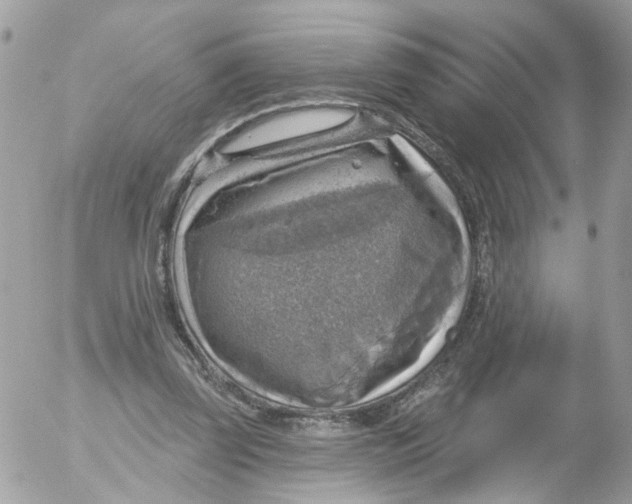 X0000052570347200507292012