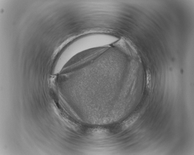 X0000052570348200507292012