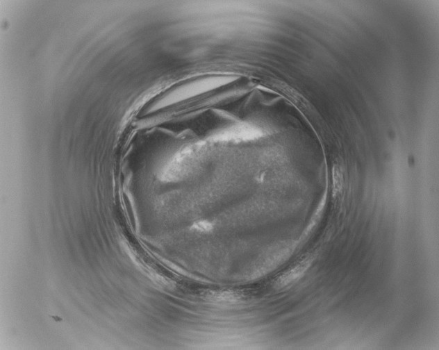 X0000052570349200507292012