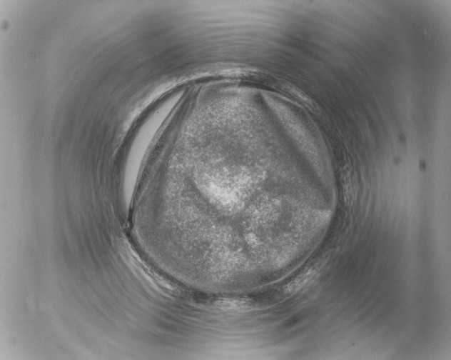 X0000052570350200507292012