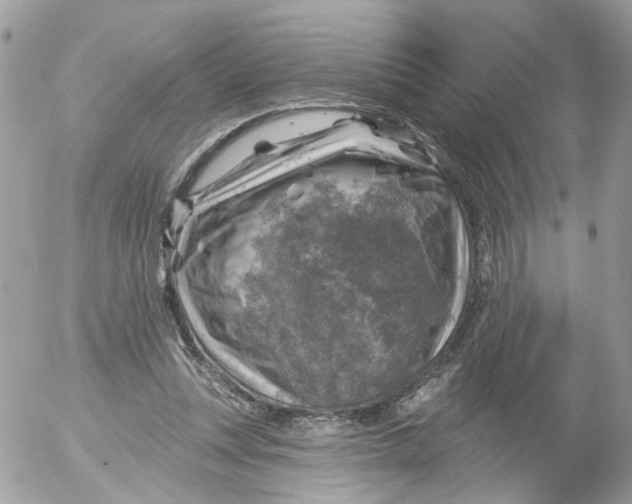 X0000052570351200507292012