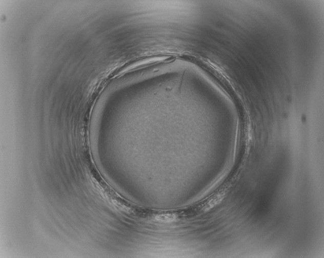 X0000052570353200507292012