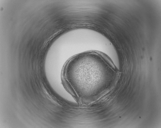 X0000052570356200507292012