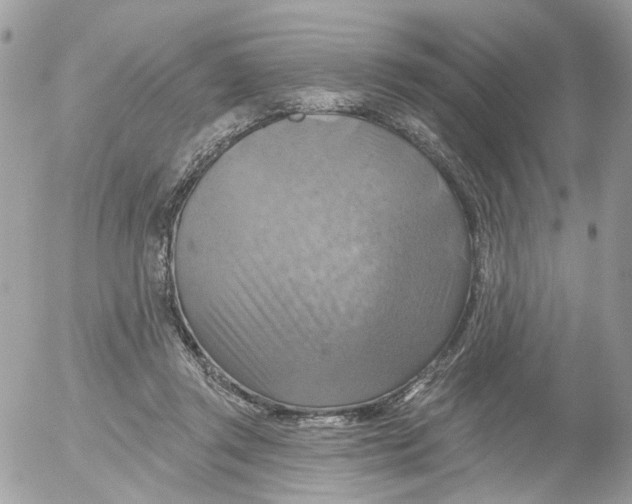 X0000052570357200507292012