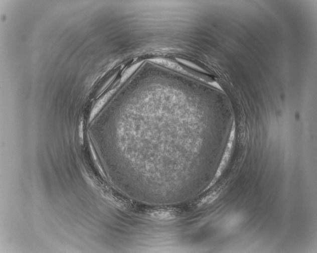 X0000052570358200507292012