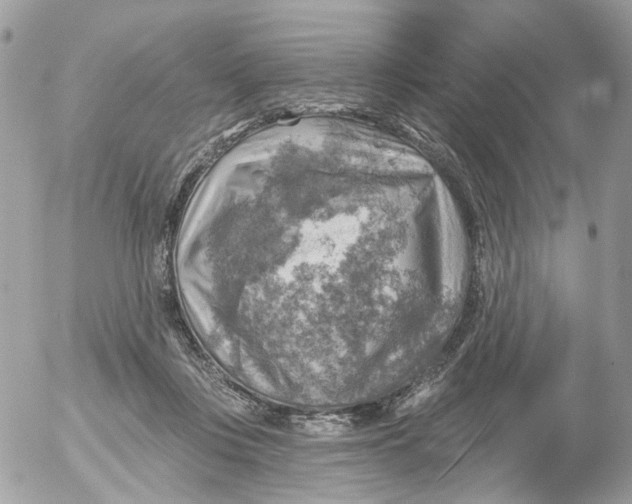 X0000052570359200507292012