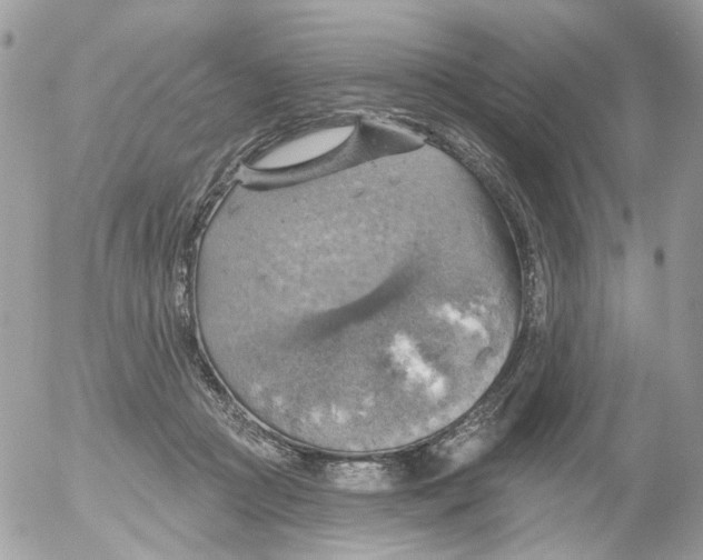 X0000052570361200507292012