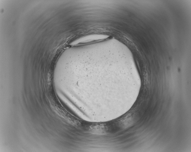 X0000052570362200507292012