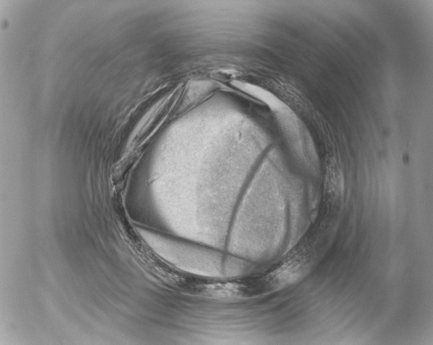 X0000052570363200507292012