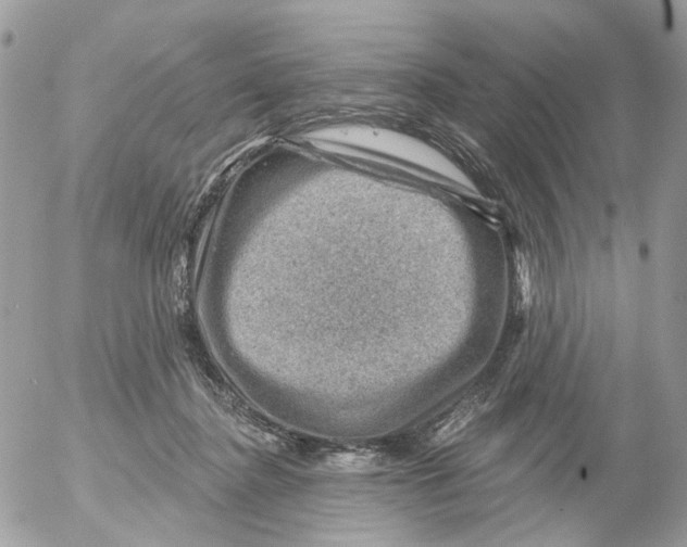 X0000052570364200507292012