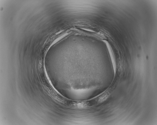 X0000052570365200507292012