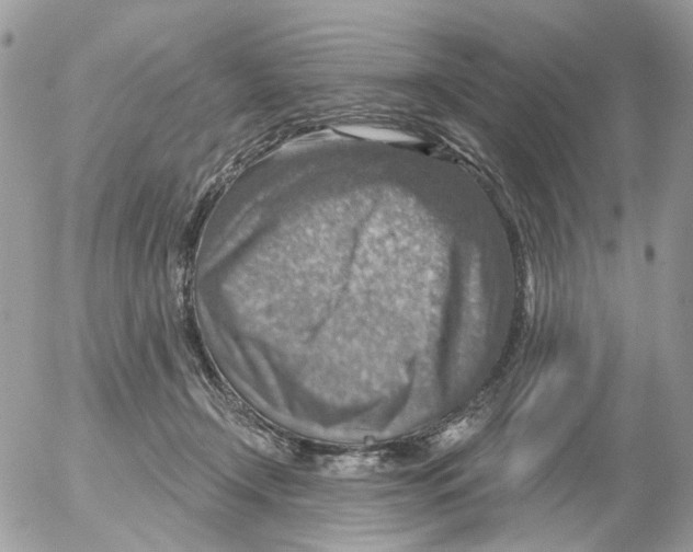 X0000052570366200507292012