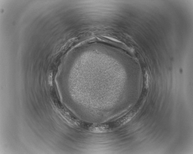 X0000052570368200507292012