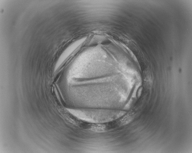 X0000052570369200507292012