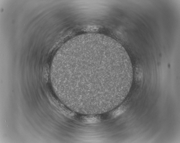 X0000052570370200507292012