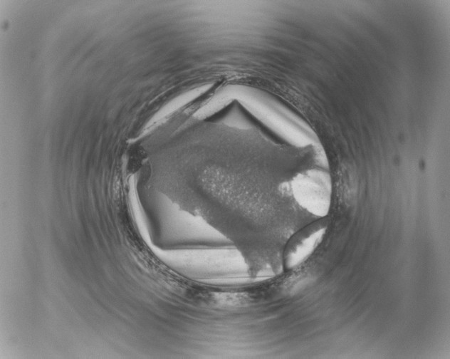 X0000052570371200507292012