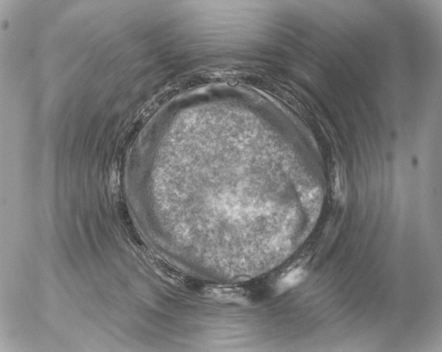 X0000052570372200507292012